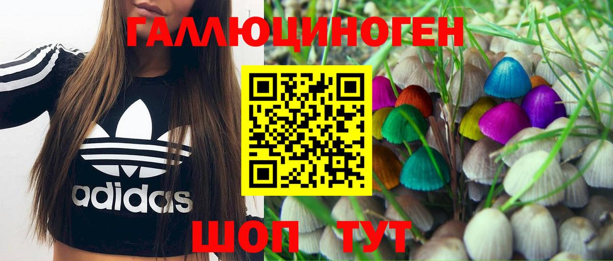 Псилоцибиновые грибы GOLDEN TEACHER Кумертау