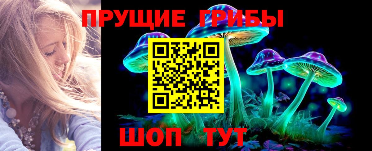 купить   Вход с VPN  Кумертау  Галлюциногенные грибы Psilocybine cubensis 